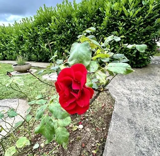 Proche Vichy Tatil Evi *